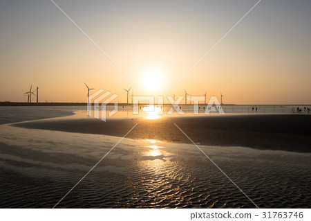 高見濕地景觀區 31763746