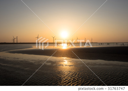 高見濕地景觀區 31763747