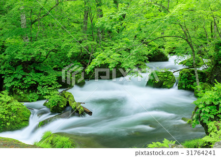青森_Oirase溪流_阿蘇拉流 31764241