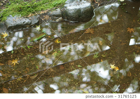 水坑 水坑 31765125