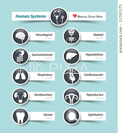 Human systems . Medical icon and sticky note . 31765575