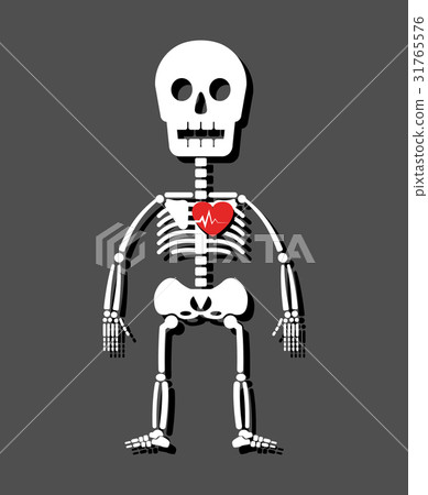 Human skeleton and heart . Cartoon style . 31765576