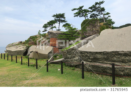 友島島 31765945
