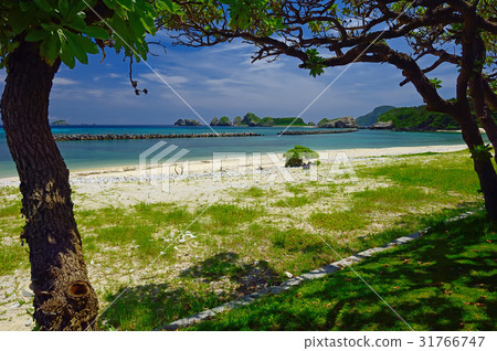 沖繩縣島尻郡座間味村Akajima Maehama 31766747