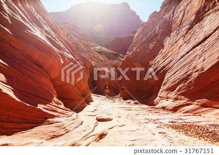Hike in Utah 31767151