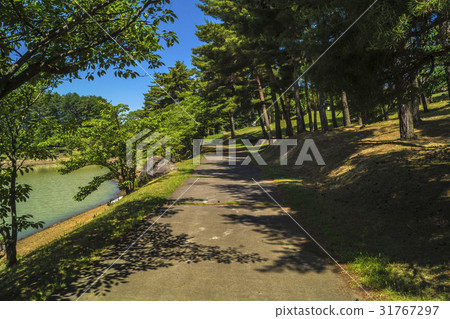 信州/長野縣長野縣Yaehara Arts Mura公園沿著Mikujyo步行街 31767297