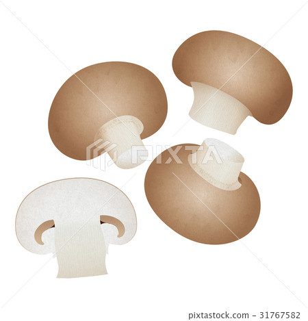 Brown mushroom 31767582