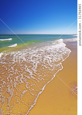 beach and beautiful tropical sea 31768465