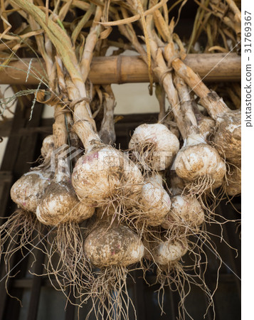 Drying of garlic 31769367