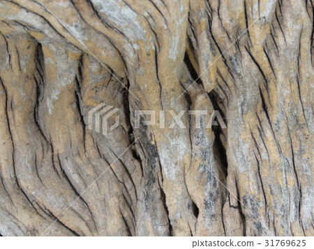 Old wood surface 31769625