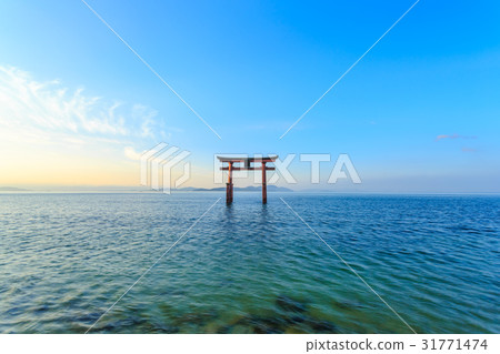 琵琶湖的早晨 琵琶湖的早晨 31771474