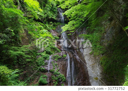 Tranquil waterfall 31772752