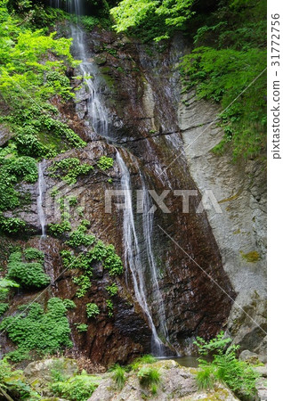 Tranquil waterfall 31772756