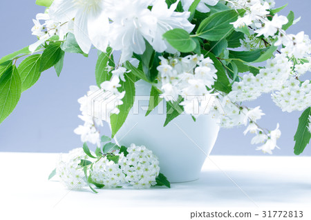 White flower White flower 31772813