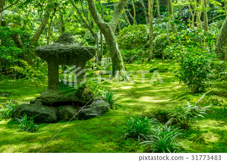 石燈籠在Gioji庭院裡 31773483