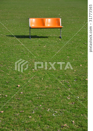 Orange bench on lawn Orange bench on lawn 31773565