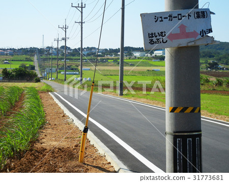 沖繩縣小濱島糖路 31773681