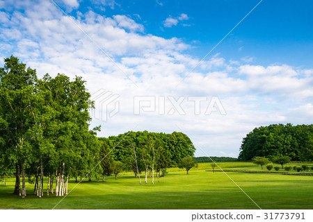 北海道札幌的Okigaoka觀景台 31773791