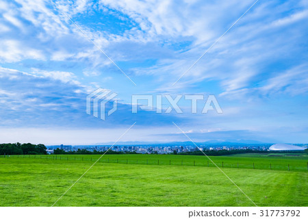 A grassland with sheep and Sapporo Dome visible from Hitsujigaoka Observation Deck in Sapporo, Hokkaido. 31773792