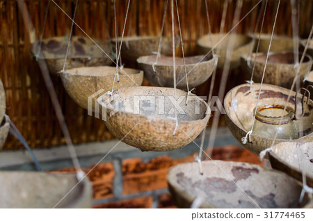 Capacities made of coconut shells 31774465