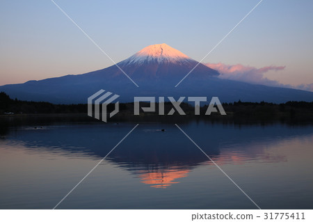 Mount Fuji Mount Fuji 31775411
