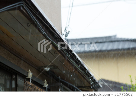 雨 31775502