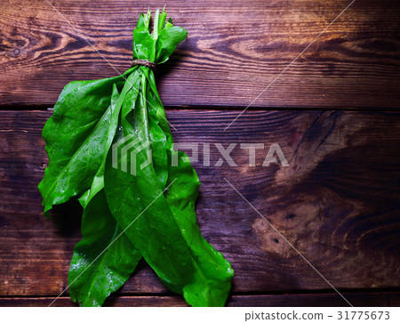 Green sorrel on a brown wooden background Green sorrel on a brown wooden background 31775673