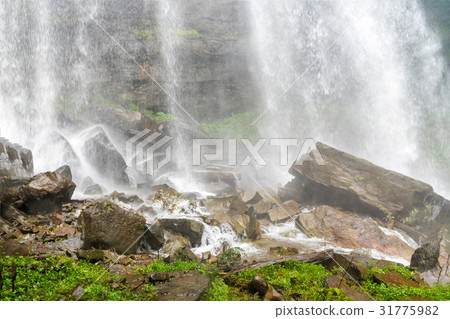 Tad TaKet waterfall, in deep forest  31775982