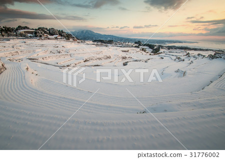 雪米梯田 雪米梯田 31776002