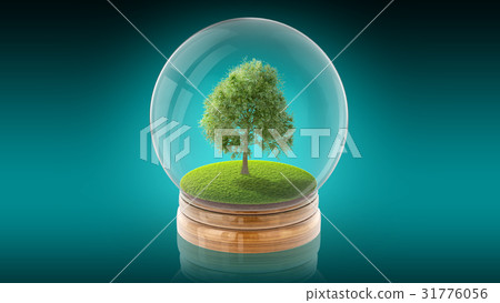 Transparent sphere ball with tree on grass inside 31776056