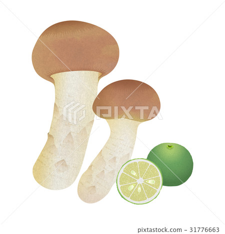 松茸和外皮 松茸和外皮 31776663