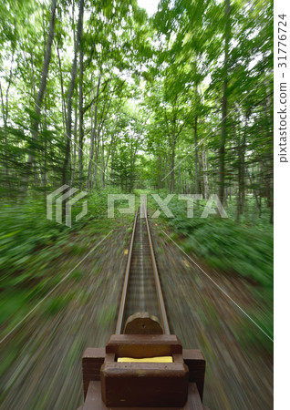 Trucks running in the forest 31776724