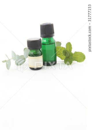 Eucalyptus leaves, oil, mint oil and mint leaves 31777153