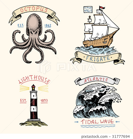 set of engraved vintage, hand drawn, old, labels set of engraved vintage, hand drawn, old, labels 31777694