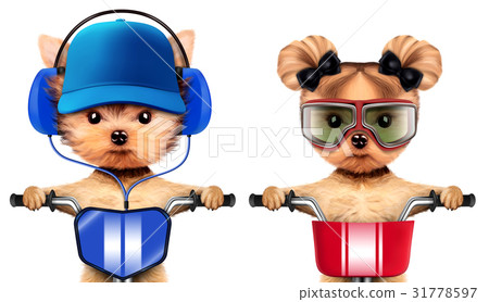 Adorable puppies with headphones sitting on bike 31778597