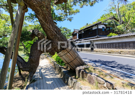 Matsue Shiomi Norinbutsukuri Pine Martial Arts House Matsue Shiomi Norinbutsukuri Pine Martial Arts House 31781418