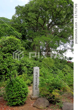 川越城堡Fujimi Fudo Rubble 31781798