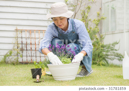 A woman enjoying gardening 31781859