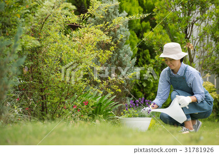 A woman who does watering in the garden A woman who does watering in the garden 31781926