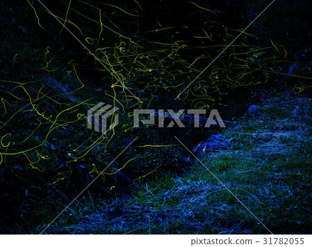 Tsukioro firefly village 31782055