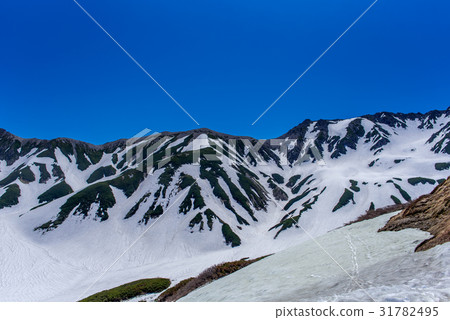 Tateyama Masagadake Fujino折疊 31782495