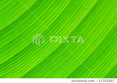 Mizukanna離開 31782891