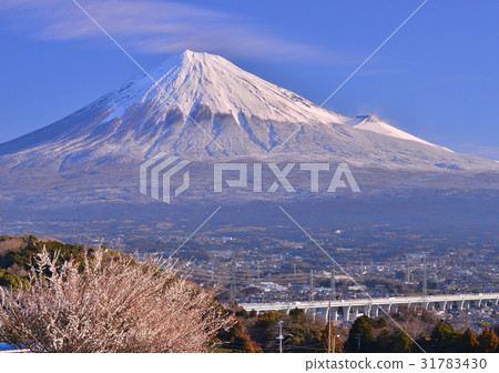 fuji mountain, fuji-san, fujisan 31783430