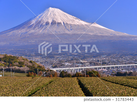 Shinto and Mt. Fuji - 60240 31783443