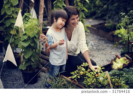 Little Kid and Teacher Learning Environment at Vegetable Farm 31784418