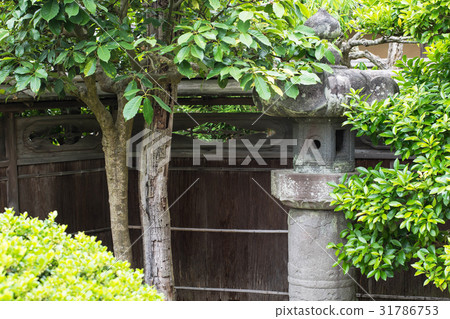 茶室花園 茶室花園 31786753