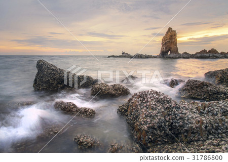 seascape sunset for background 31786800