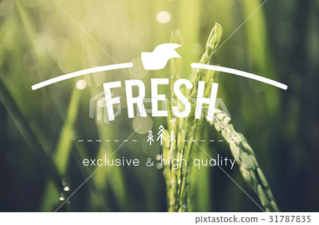 Alternative Farming Sustainable Nature Concept Alternative Farming Sustainable Nature Concept 31787835