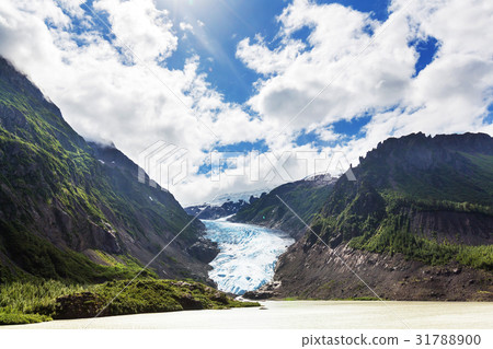 Bear glacier Bear glacier 31788900