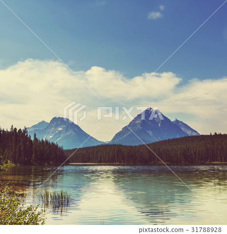 Lake in Canada 31788928